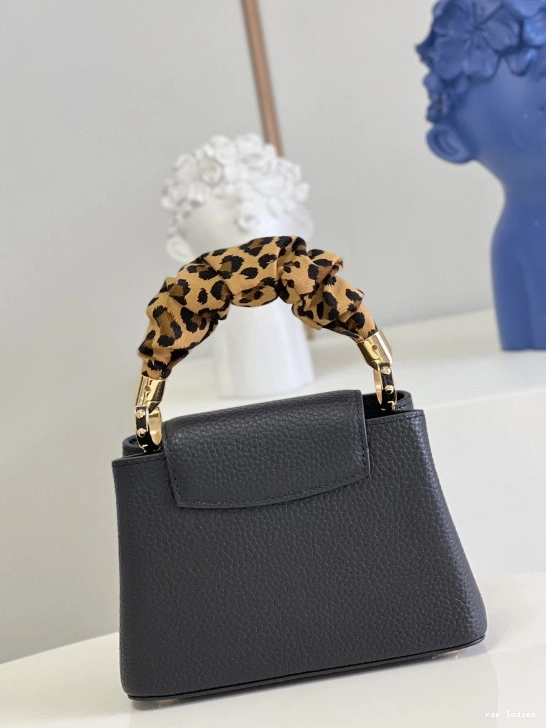 Cheap CAPUCINES MINI LOUIS VUITTON 0731
